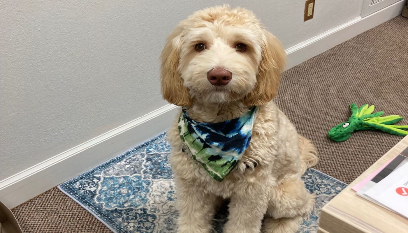 Adult and Teen Challenge of Western Wisconsin