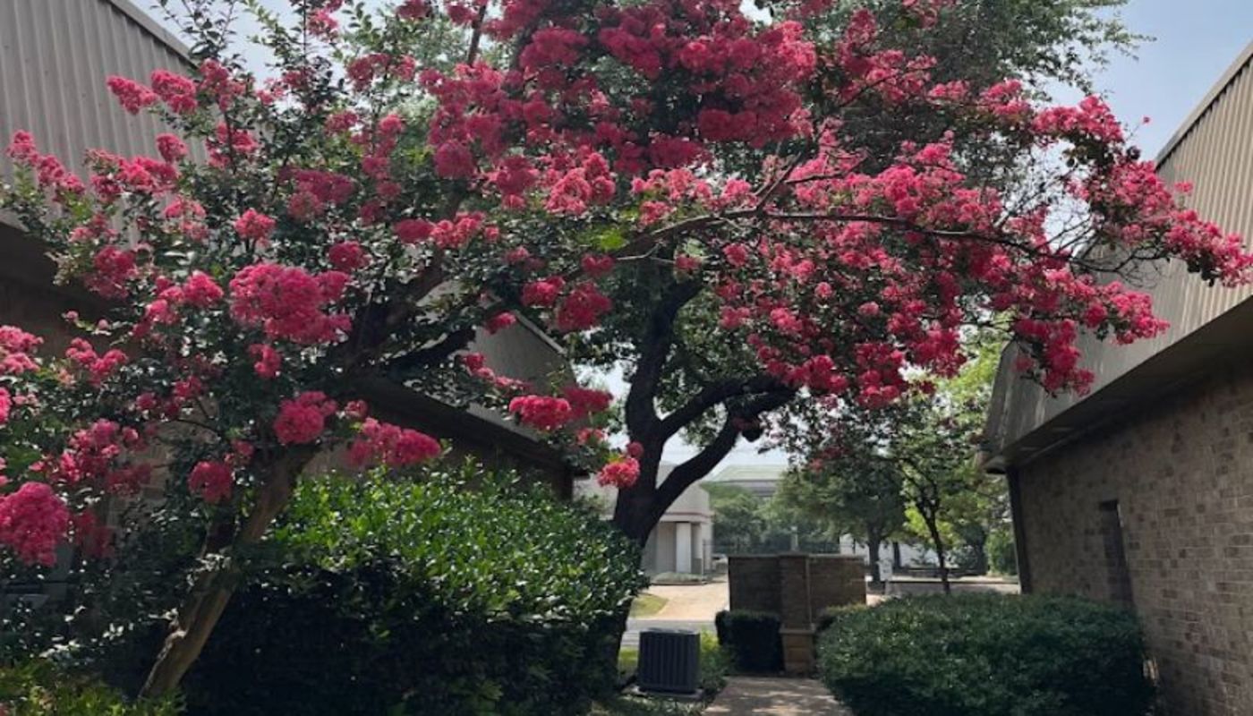 Anxiety Treatment Center of Austin