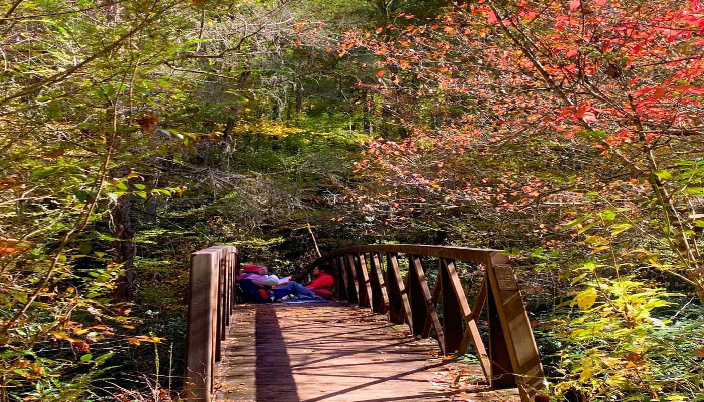 Blue Ridge Therapeutic Wilderness