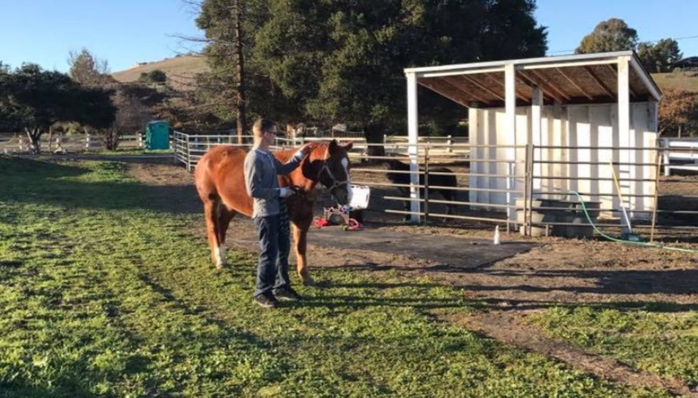 Bright Future Recovery