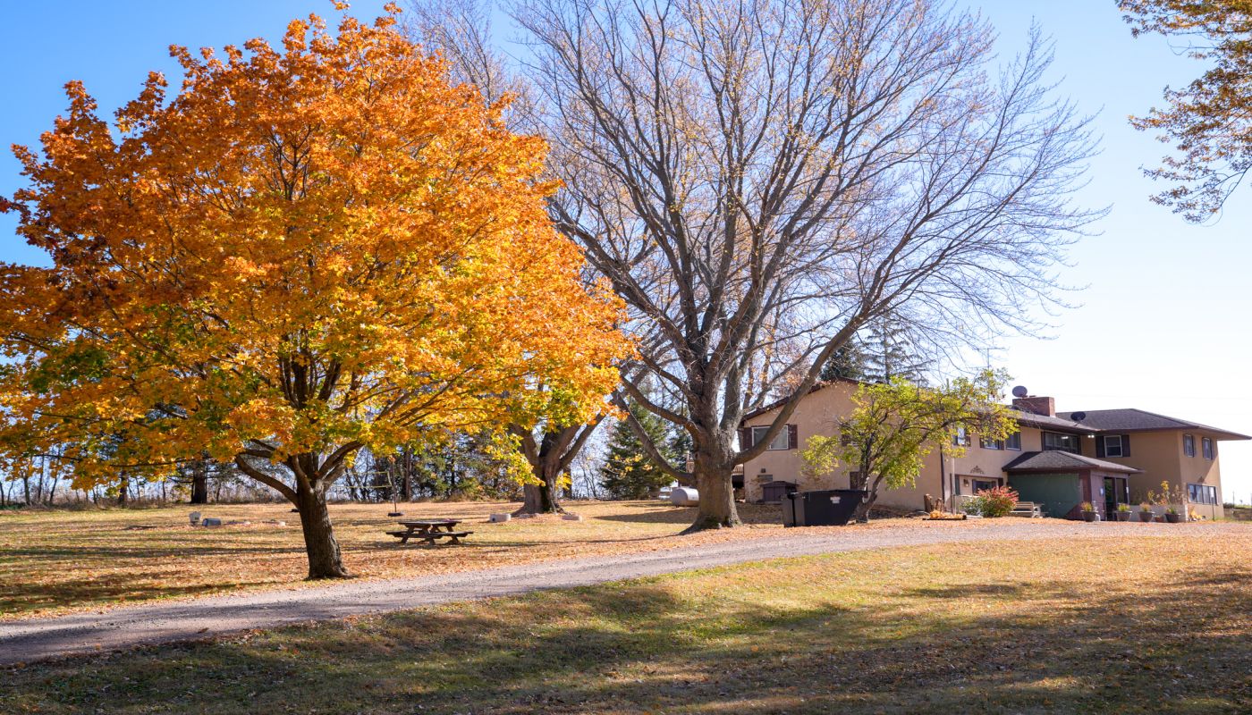 EOSIS New Beginnings - Women's