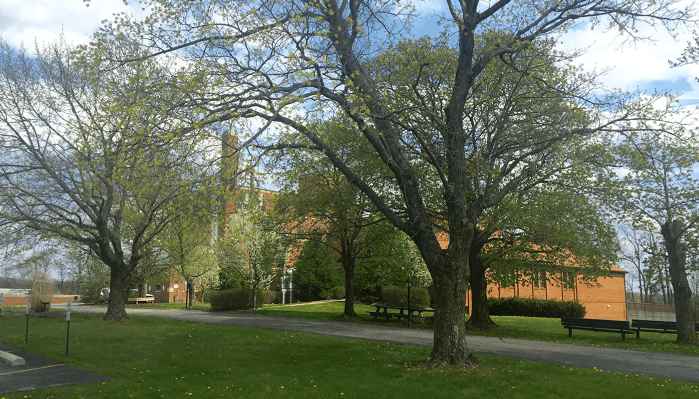 Foundation for Living