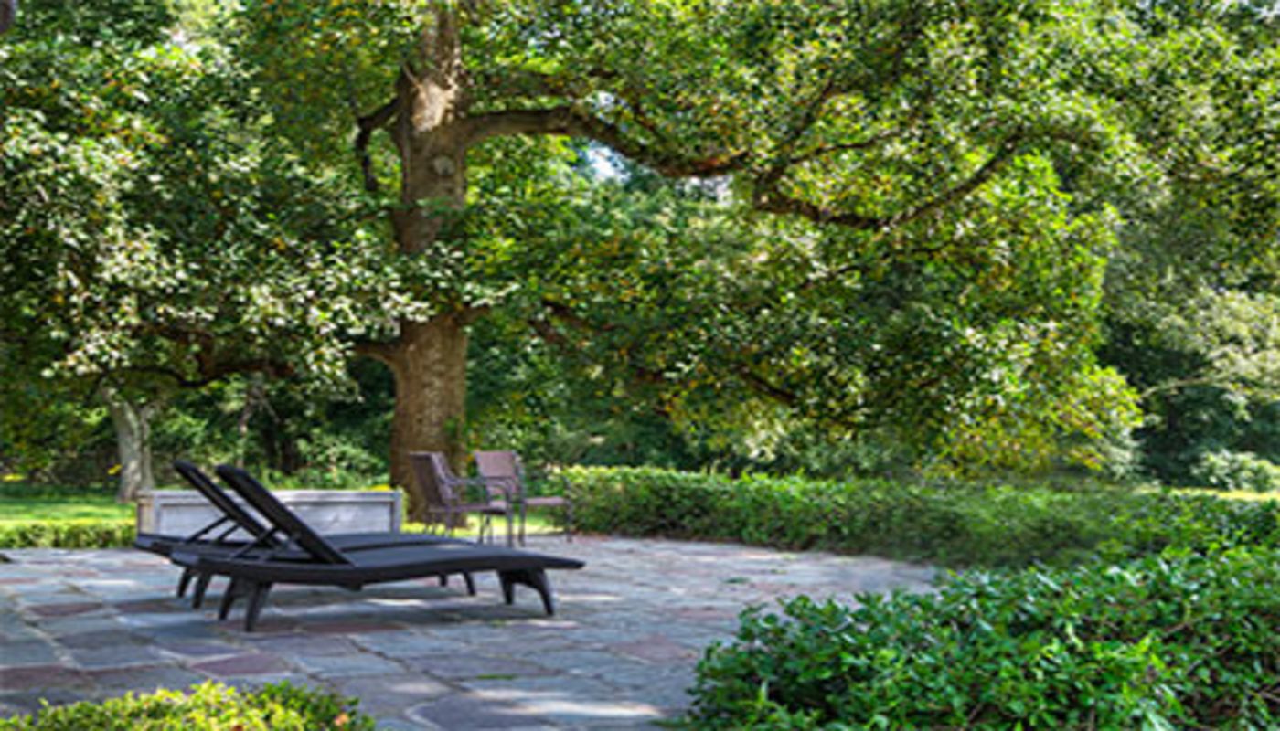 Herren Wellness Lincoln Street