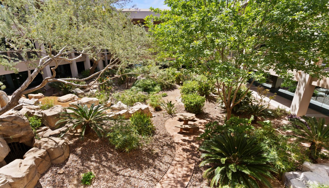 Horizon Recovery - Scottsdale