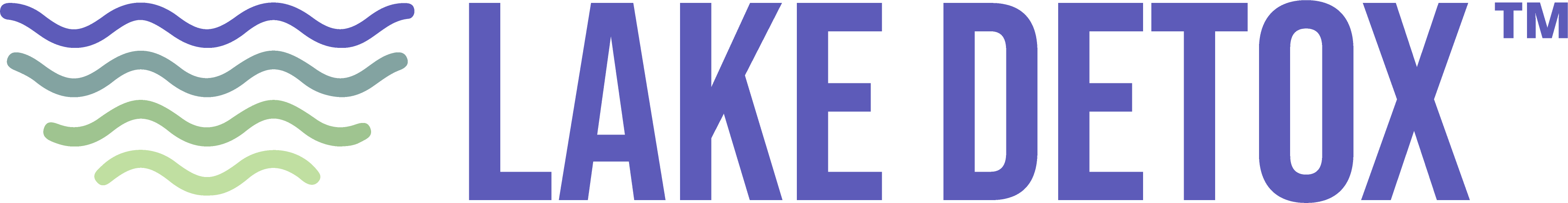 Lake Wellness Center Houma