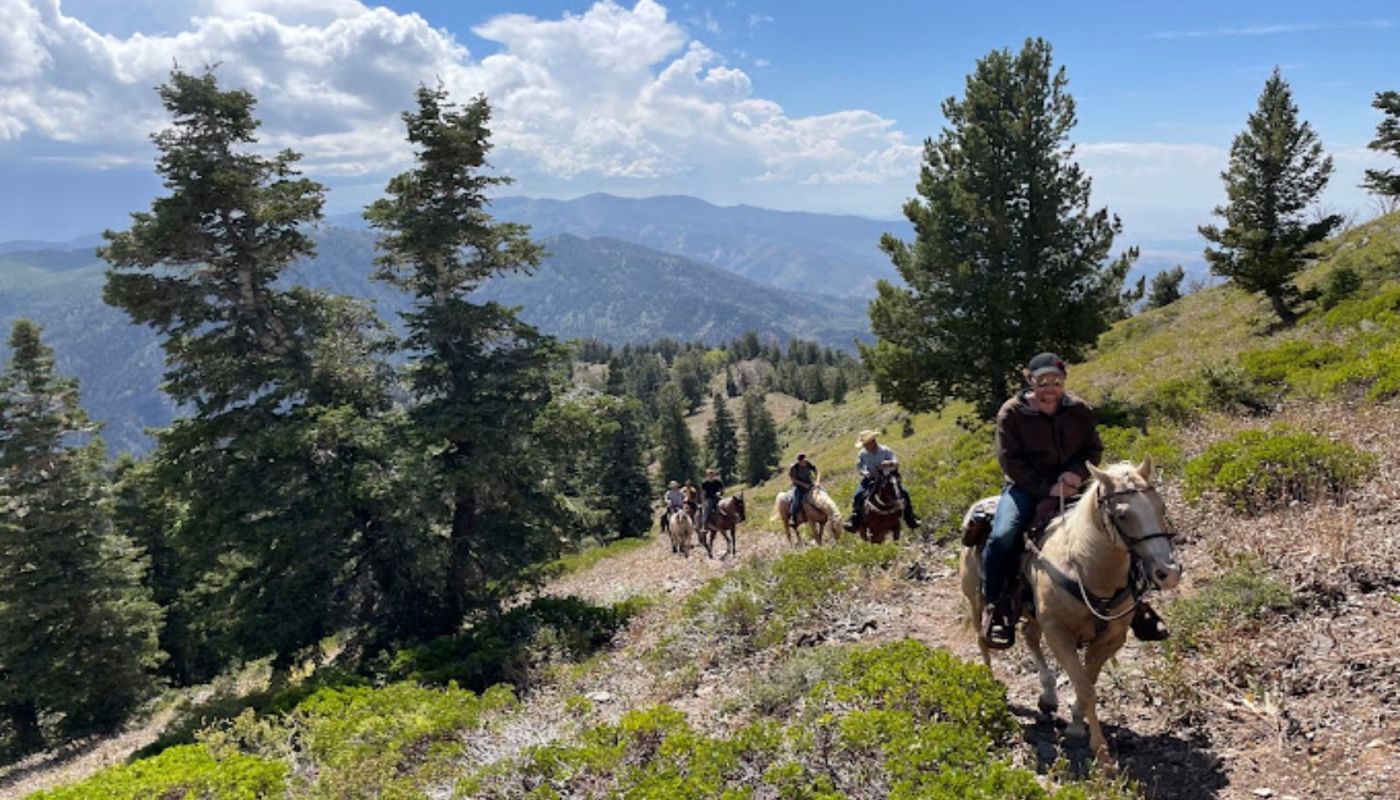 Mountain Valley Recovery