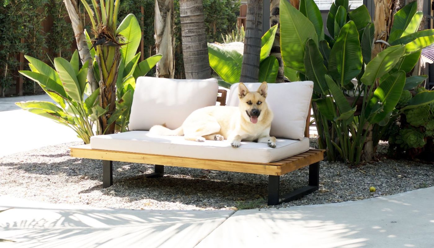 Numa Recovery Center