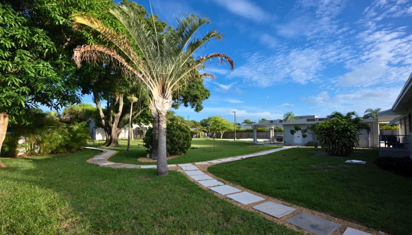 Olympic Behavioral Health