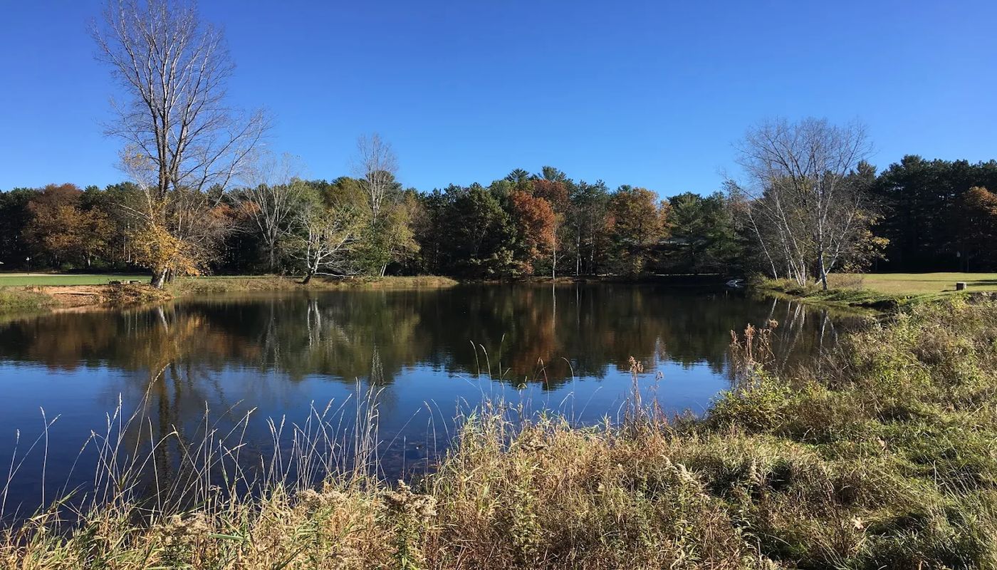 Rawhide Youth Services New London