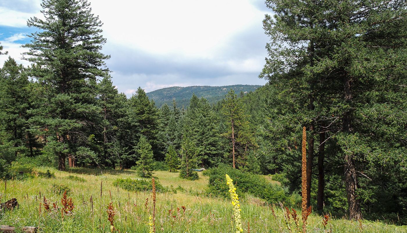 Red Rock Recovery Center