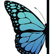 Right Choice of Orange County