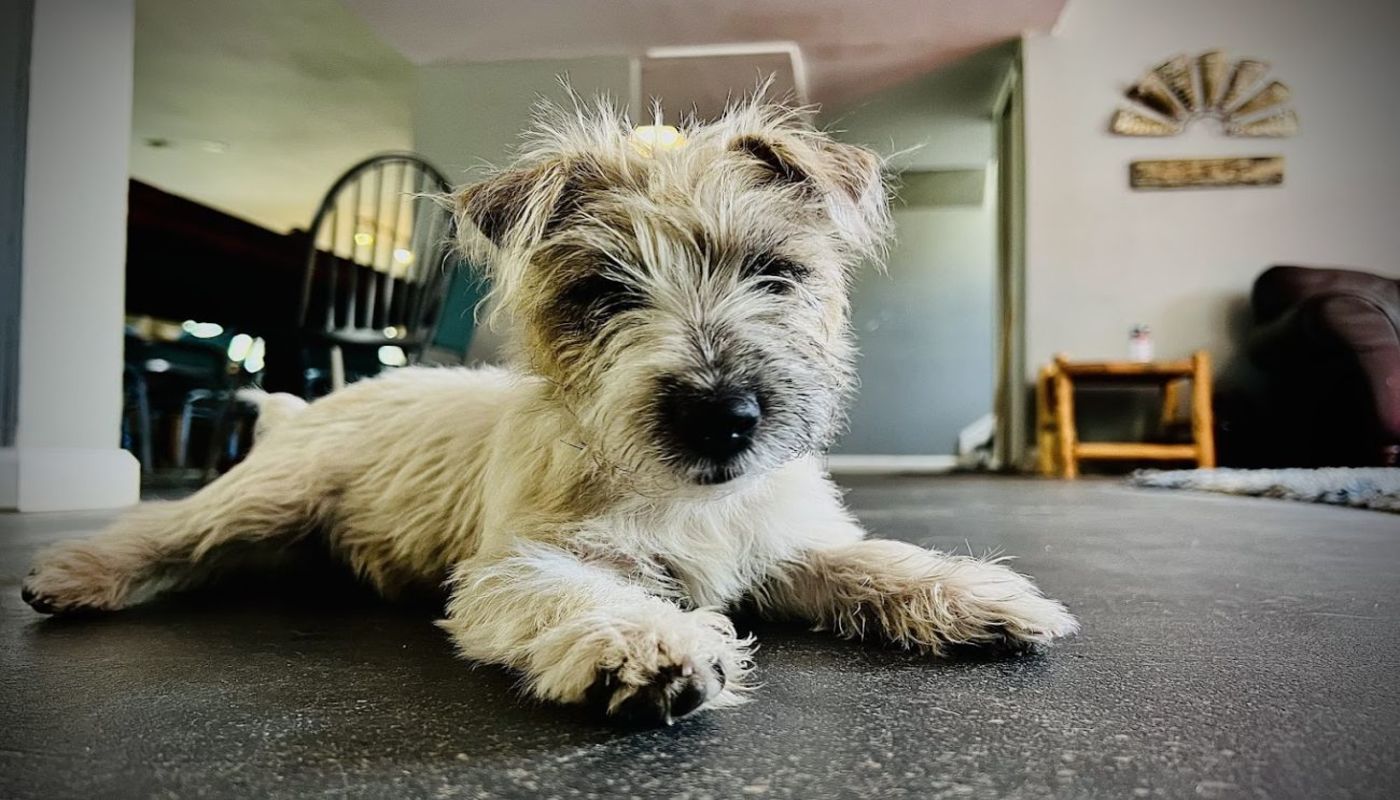 Spero Men's Recovery Center