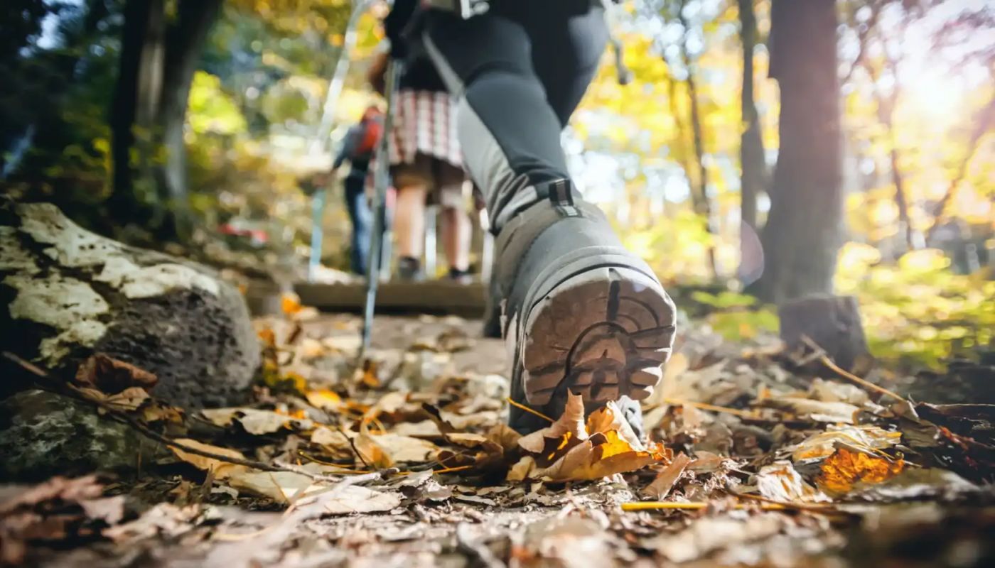 The Camp Recovery Center