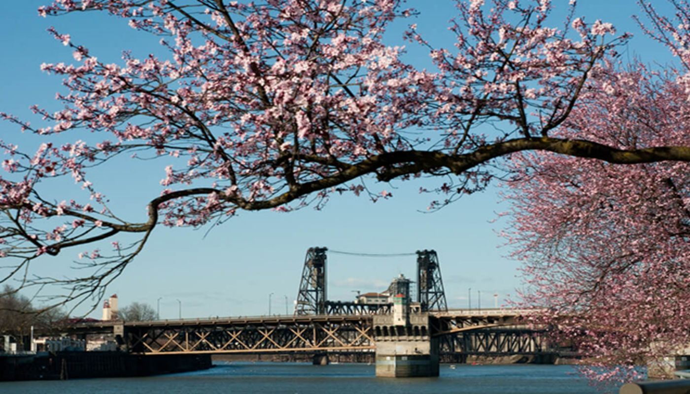 Windhorse Integrative Mental Health - Portland